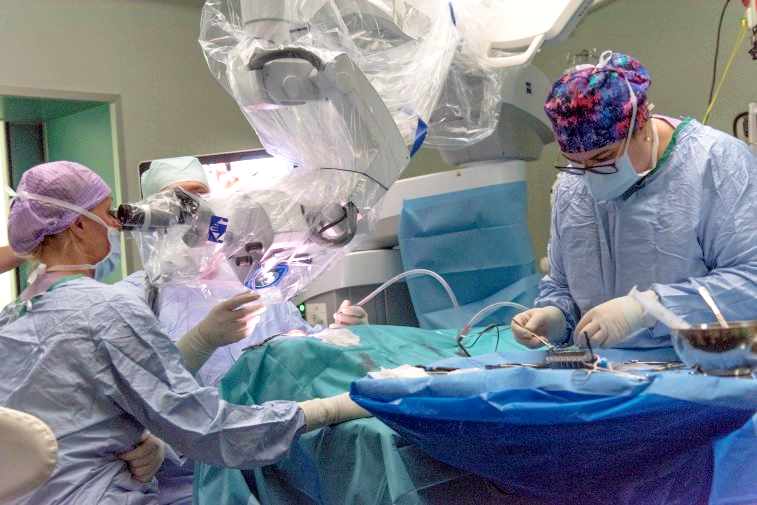 archiv Milana Uríka a Fakultní nemocnice Brno archiv Milana Uríka a Fakultní nemocnice Brno